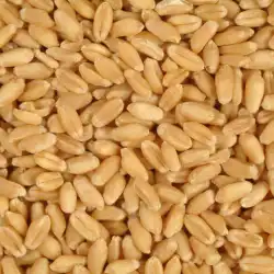 Milling Wheat