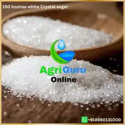 IC150 White Crystal Brazil Sugar