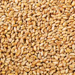 Australian Milling Wheat