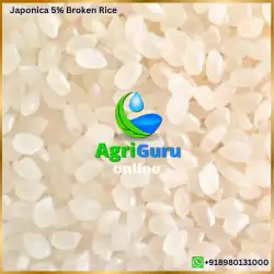 Japonica 05% Broken Rice