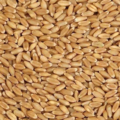 Ukraine Milling Wheat