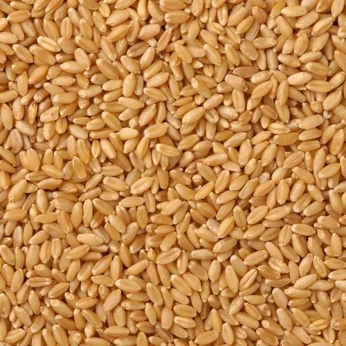 Indian Milling Wheat