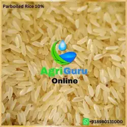 India Parboiled Rice 10% Broken
