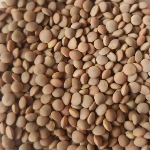 test  product RIce