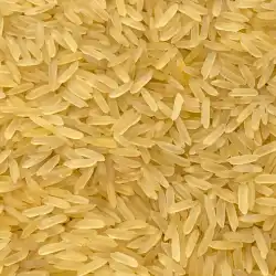 PR11 Golden Rice