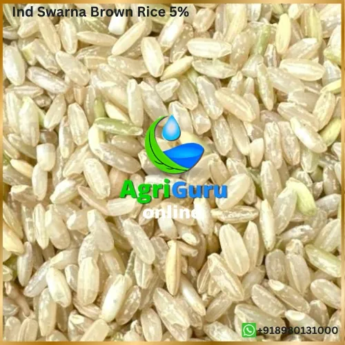 Swarna Brown Rice 05%
