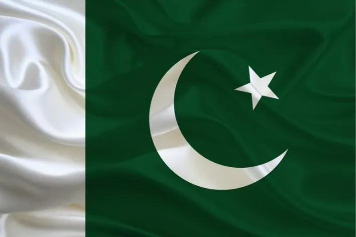 Pakistan Rice