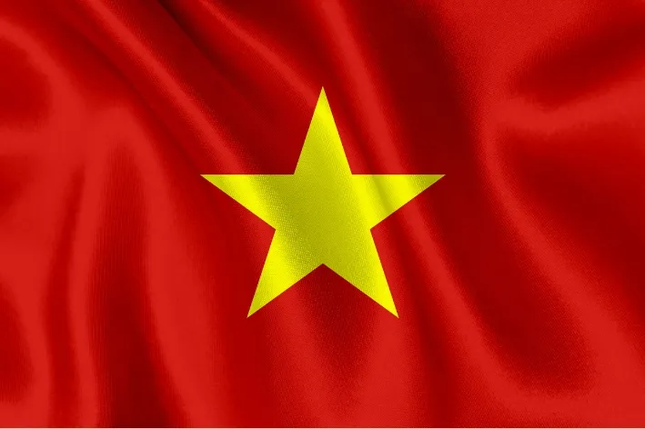 Vietnam Rice