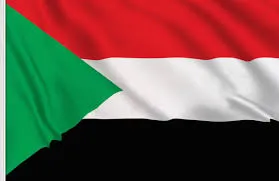 Sudan Oil Seeds